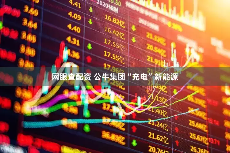 网眼查配资 公牛集团“充电”新能源