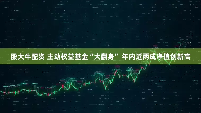股大牛配资 主动权益基金“大翻身” 年内近两成净值创新高