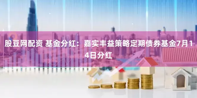 股豆网配资 基金分红：嘉实丰益策略定期债券基金7月14日分红