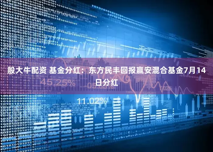 股大牛配资 基金分红：东方民丰回报赢安混合基金7月14日分红