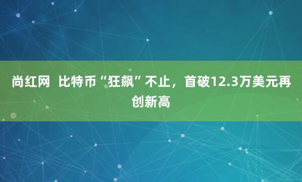 尚红网  比特币“狂飙”不止，首破12.3万美元再创新高